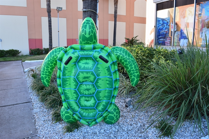 clearwater fl hotels Beach