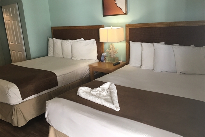 clearwater fl hotels